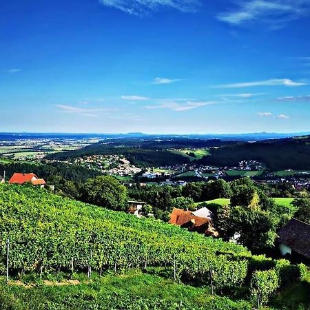 Wiednermichl - Urlaub In Den Weinbergen Krottendorf bei Ligist Zewnętrze zdjęcie