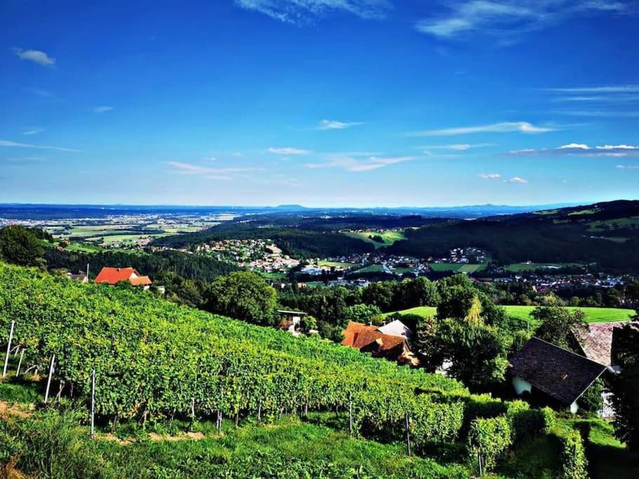 Wiednermichl - Urlaub In Den Weinbergen Krottendorf bei Ligist Zewnętrze zdjęcie